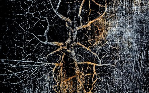 Neil Phillips Biography