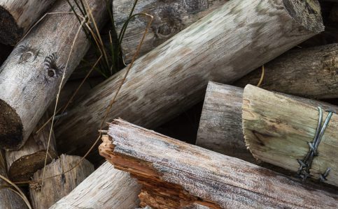 Neil Phillips Biography