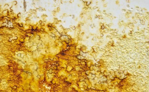 Neglect | Neil Phillips Biography