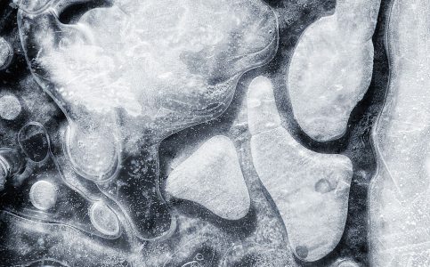 Neil Phillips Biography