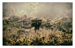 a hmong tribe gathers wood at dawn in the forests above mu cang chai © Hamish Scott-Brown